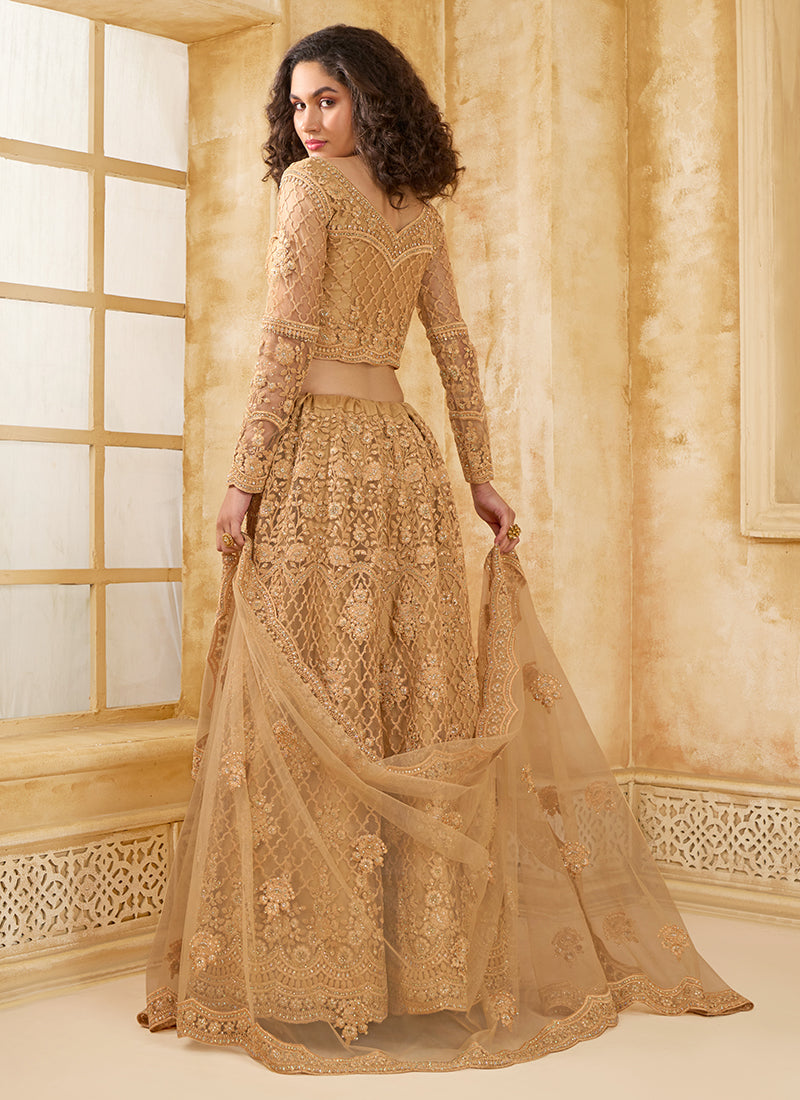 Light Brown Embroidered Lehenga Choli