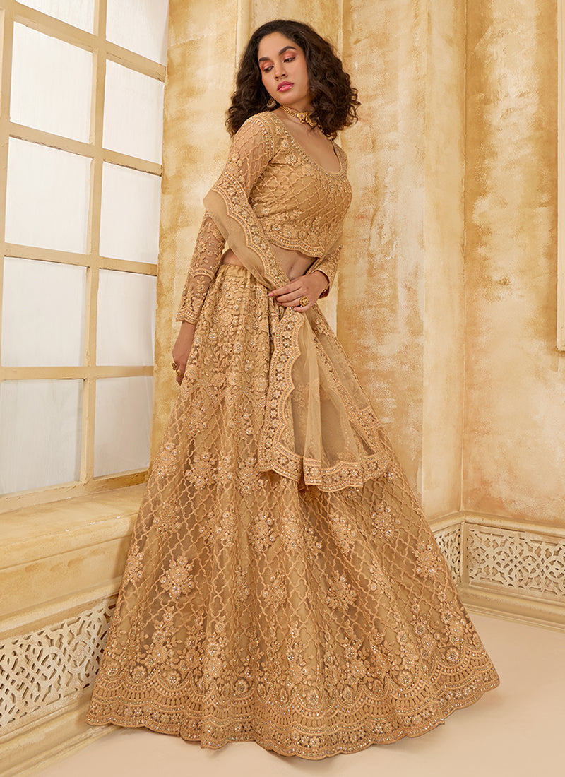 Light Brown Embroidered Lehenga Choli