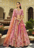 Light Pink Embroidered Cut Work Border Silk Lehenga