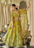 Pista Embroidered Cut Work Border Silk Lehenga