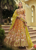 Rust Orange Embroidered Cut Work Border Silk Lehenga