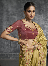 Regal Gold Tissue Zari Embroidered Saree